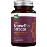 Nature Provides Boswellia serrata 65% standardizovaná kyselina boswellová 180 kapslí – Hledejceny.cz