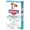 Antiparazitika pro kočky Ataxxa pro psy 4-10kg spot-on 1x1ml
