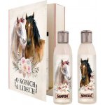 Bohemia Gifts O koních a lidech sprchový gel 200 ml + šampon na vlasy 200 ml kniha dárková sada – Zbozi.Blesk.cz