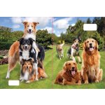 Reas Pack Sešit 540 A5 nelinkovaný 40l 3D MIX – Hledejceny.cz