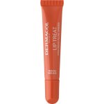Dermacol Péče na rty Lip Treat Mocha Mousse 10 ml – Hledejceny.cz
