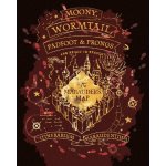 ZUTY Malování podle čísel POBERTŮV PLÁNEK HARRY POTTER – Hledejceny.cz