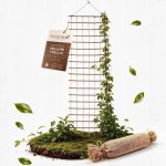 Dřevěná pergola Floranica s mřížkou, výška 50 cm – Hledejceny.cz