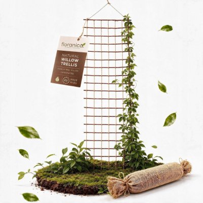 Dřevěná pergola Floranica s mřížkou, výška 50 cm – Hledejceny.cz