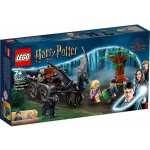 LEGO® Harry Potter™ 76400 Bradavice: Kočár a testrálové – Zboží Živě