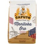 Caputo mouka typ 0 Manitoba Oro 1 kg – Zboží Dáma