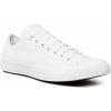 Skate boty Converse Chuck Taylor All Star Seasonal OX 1U647/white Monochrome