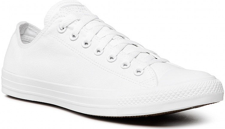 Converse Chuck Taylor All Star Seasonal OX 1U647/white Monochrome