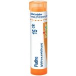 PLATINA POR 15CH GRA 1X4G – Hledejceny.cz