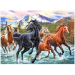 Norimpex Diamantové malování Koně ve vodě 30 x 40 cm – Zbozi.Blesk.cz