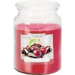 Bispol Aura Maxi Chocolate Cherry 500 g – Zboží Mobilmania