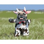 Zuty Malování podle čísel BULDOČEK PŘEVLEČENÝ ZA KRÁVU – Sleviste.cz