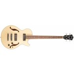 Ibanez AGB 200 – Zboží Dáma