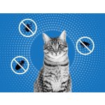 Frontline Spot-On Cat 1 x 0,5 ml – HobbyKompas.cz