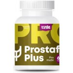 Medinterra Prostafit Plus 60 tablet – Hledejceny.cz
