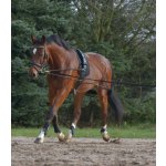 Waldhausen Postroj lonžovací černý – Zboží Mobilmania