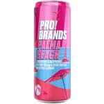 ProBrands BCAA Drink 24x330ml – Zboží Mobilmania