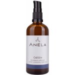 Anela Odlíčím dvoufázový odličovač očního i pleťového make-upu 100 ml – Hledejceny.cz