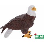Atlas B Orel – Hledejceny.cz