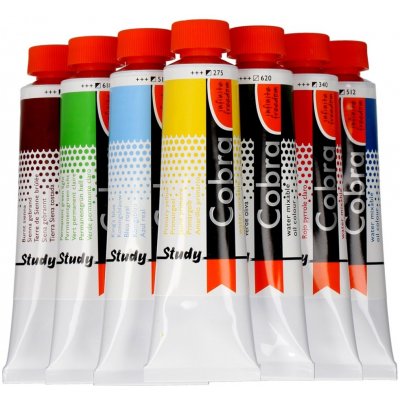 Royal Talens Olejová barva COBRA H2Oil 40 ml Payne's grey 708 – Sleviste.cz