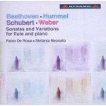 Franz Schubert - Fabio De Rosa & Stefania Neonato - Sonatas And Variations For Flute And Piano CD – Hledejceny.cz