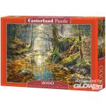Castorland Podzimní les 200757 2000 dílků – Zboží Dáma
