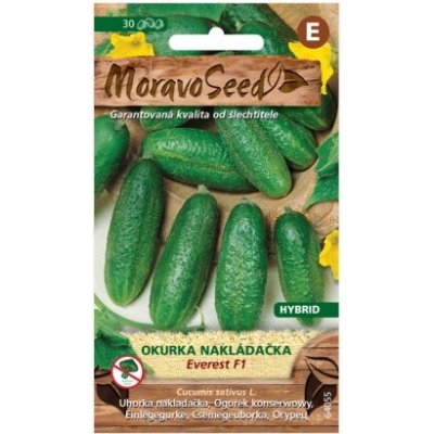 MoravoSeed CZ a.s. MoravoSeed Okurka nakládačka EVEREST F1