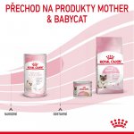 Royal Canin BabyCat milk 0,3 kg – Sleviste.cz