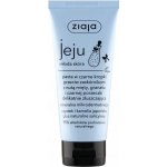 Ziaja Jeju mladá pleť Mikro exfoliační pasta 75 ml – Hledejceny.cz