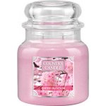Country Candle Cherry Blossom 453 g – Hledejceny.cz