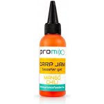 Promix Booster Jam Carp Mango-Chilli 60 ml – Hledejceny.cz