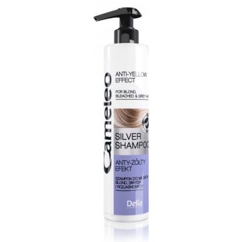 Delia Cosmetics Cameleo Silver šampon anti-žlutý Effect 250 ml