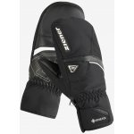 Ziener palčáky Galisor GTX + Gore Plus Warm Mitt Glove black – Hledejceny.cz