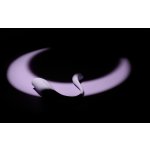 Svakom Phoenix Neo 2 – Zboží Dáma Svakom Phoenix Neo 2 – Zboží Dáma