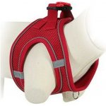 Zolux Postroj pes Síťový – Sleviste.cz