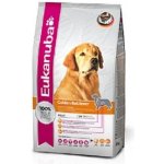 Eukanuba Golden Retriever 2 x 12 kg – Hledejceny.cz