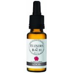 Bachovy květové esence Dospívající Teenager 20 ml – Hledejceny.cz