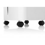 ETA Coolio 0568 90000 – Zboží Dáma