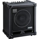 Roland CUBE 60