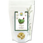 Salvia Paradise Nopál prášek 400 g – Hledejceny.cz