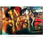 Umělecký tisk Salvador Dali - Metamorphosis Of Narcissus, Salvador Dalí, (70 x 50 cm) – Hledejceny.cz