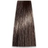 Barva na vlasy ProSalon Professional 6/1 100 g