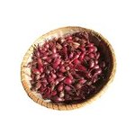 Ozimá cibule sazečka Akado 250 g – Hledejceny.cz