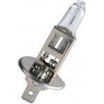 Narva H1 P14,5s 24V 70W