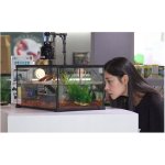 Repti Zoo terárium vodotěsné 21 x 31 x 15 cm – Zboží Dáma