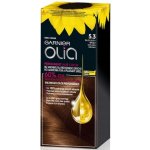 Garnier Olia 5.3 zlatá hnědá barva na vlasy – Zboží Dáma