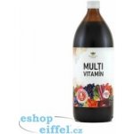EkoMedica Czech Multivitamín 1000 ml – Hledejceny.cz