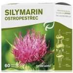 nefdesanté Silymarin 60 tablet – Hledejceny.cz