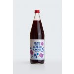 Moštárna Hoštětín Bio Mošt jablečný s aronií 750 ml – Zboží Dáma