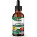 Nature´s answer Holistické bylinné kapky Hloh jednosemenný 30 ml – Hledejceny.cz